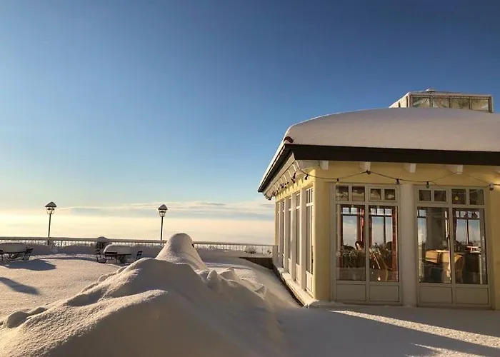 Отель Sonnenwaldhotel *